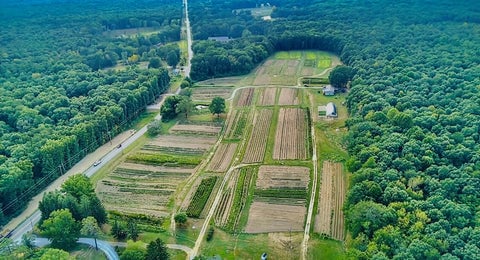 TN Farm
