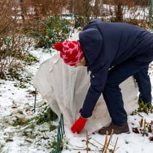 Use Towels and Boxes for Insulation
