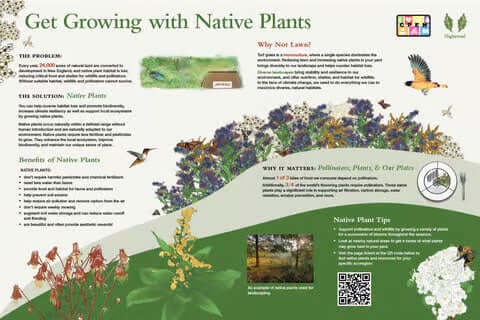 Get Growing With Native Plants