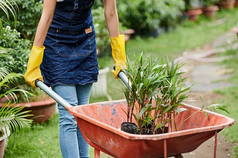19 Ideas to Redesign Your Garden