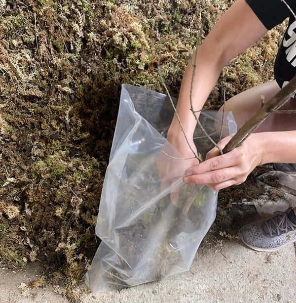 How We Package Plants