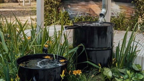 Rain Barrels