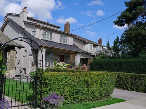 Privet Hedge around a house