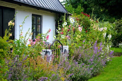 cottage garden