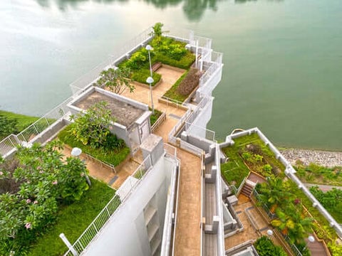 rooftop garden
