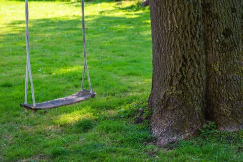 Shade Trees