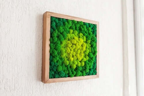 Living Moss Wall