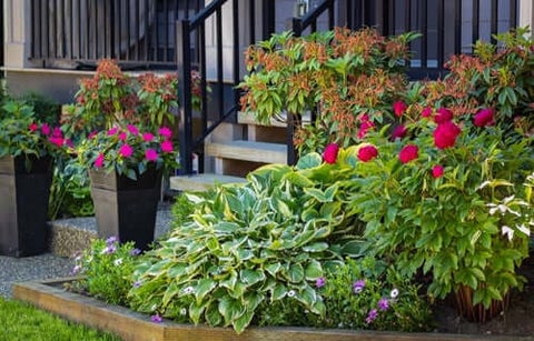 Curb Appeal