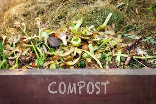 composting