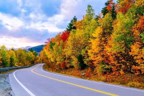 New England Foilage