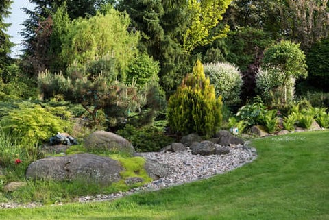 privacy planting
