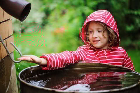 Rain Barrel