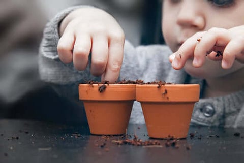 child starting seeds