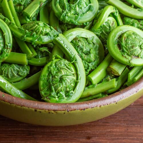 Blanched Fiddleheads