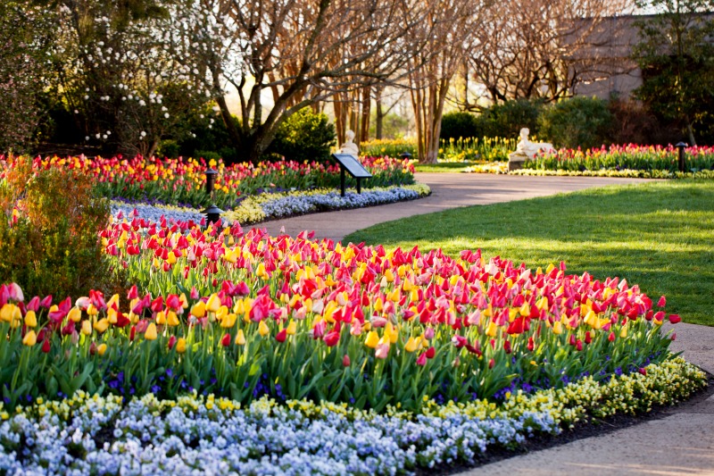 Image result for cheekwood botanical gardens