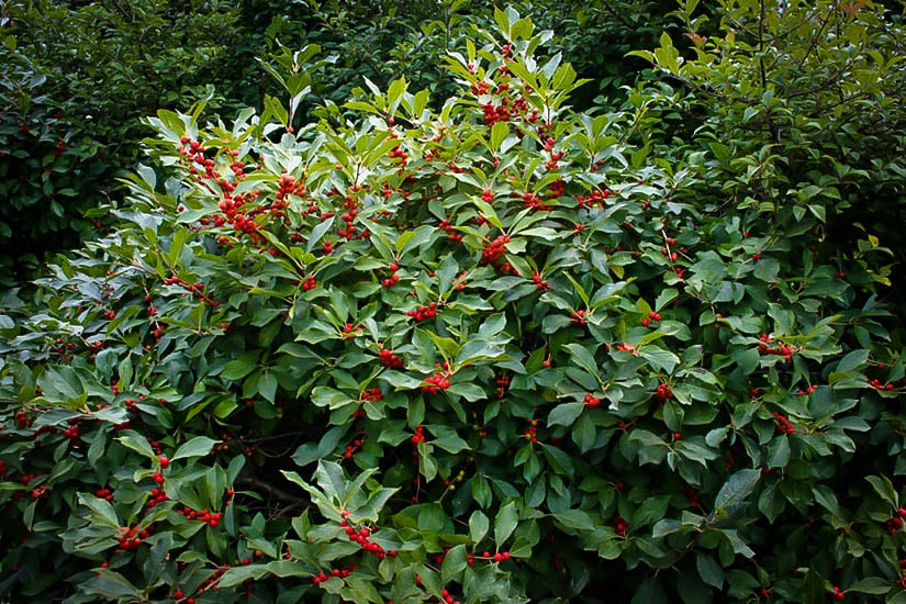 Related image